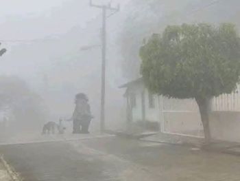 Memes bajo cero: estallaron las redes sociales ante la nieve