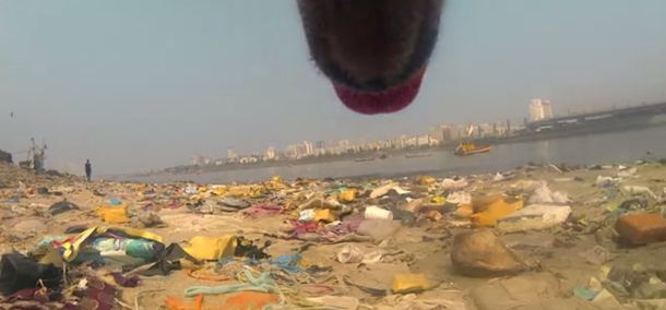 Mirá cómo ve el mundo un perro callejero