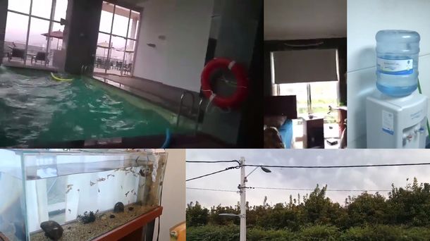 Distintos videos registraron cómo se vivió el sismo en Chile