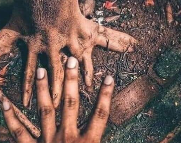 Ph: Instagram/caminhosdafloresta