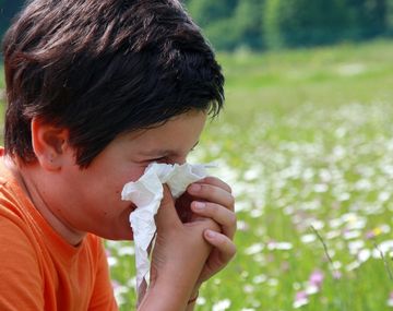 Unos 800 mil chicos sufren rinitis alérgica en el país