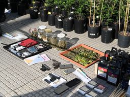 La Policía de la Ciudad desbarató un búnker de marihuana en Nueva Pompeya La Policía de la Ciudad desbarató un búnker de marihuana en Nueva Pompeya