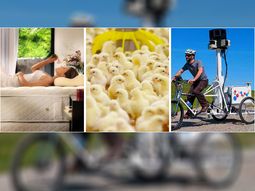 estos son los trabajos mas divertidos del mundo estos son los trabajos mas divertidos del mundo