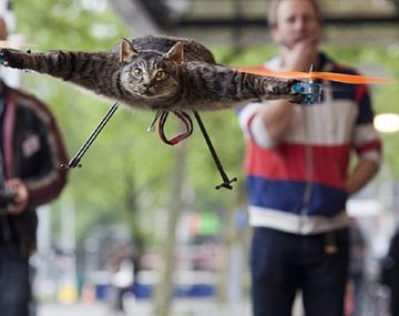 El verdadero gato volador: usa animales muertos para hacer drones