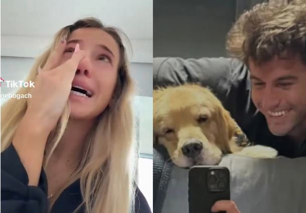 La angustiante reacción a Zoe Bogach tras la muerte de Ámbar, la perra de Manuel Ibero de Gran Hermano