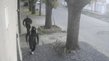 capturan a policia acusado de irrumpir en una casa y huir tras ser descubierto capturan a policia acusado de irrumpir en una casa y huir tras ser descubierto