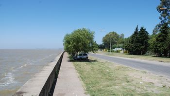 hallan un cuerpo en punta lara e investigan si es el joven que cayo del buquebus hallan un cuerpo en punta lara e investigan si es el joven que cayo del buquebus