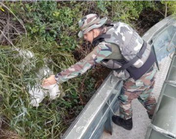 Prefectura encontró casi 100 kilos de marihuana abandonados en una isla
