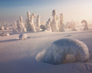 Las formas del hielo