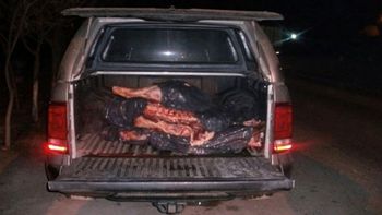 llevaban 250 kilos de carne arriba de una camioneta del sindicato de petroleros llevaban 250 kilos de carne arriba de una camioneta del sindicato de petroleros