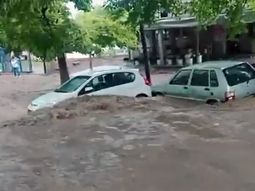 Tormentas intensas azotan Mendoza: inundaciones, caída de árboles y cortes de energía