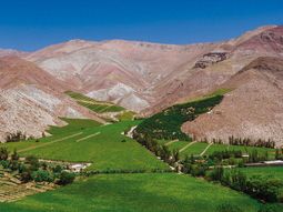 el pueblo chileno con vinedos, terapias alternativas y cielos estrellados el pueblo chileno con vinedos, terapias alternativas y cielos estrellados
