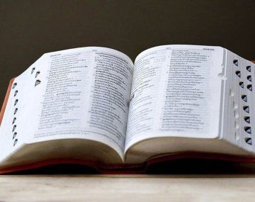 La RAE incorporó nuevas palabras al diccionario: cuáles son