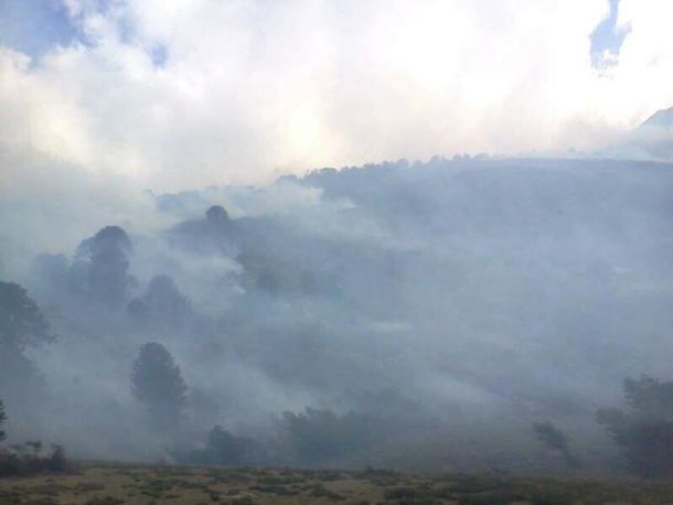 Un incendio está arrasando un bosque nativo en Neuquén