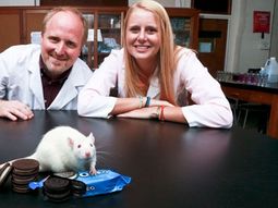 afirman que famosas galletitas son adictivas como la cocaina afirman que famosas galletitas son adictivas como la cocaina