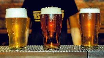 asi se festeja el ipa day; las mejores opciones para elegir asi se festeja el ipa day; las mejores opciones para elegir