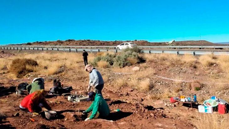 Encontraron un dinosaurio de 99 millones de años en Neuquén