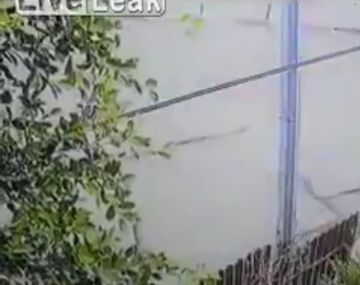 Dos perros atacan a una mujer en el medio de la calle