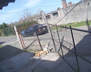 Un joven ató a su auto a un ladrón y lo arrastró por la calle