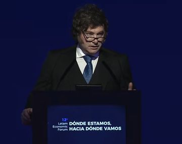 Javier Milei: hice todo mal para estar en la política