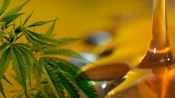 Aceite de cannabis Aceite de cannabis