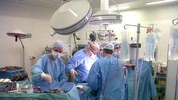 argentina supero su record en donacion y trasplante de organos argentina supero su record en donacion y trasplante de organos