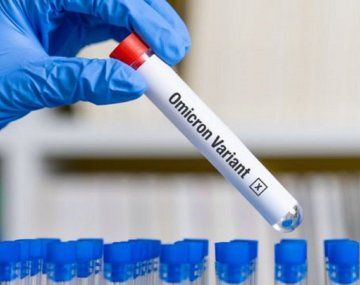 Científicos identifican un grupo de anticuerpos capaces de neutralizar a Ómicron