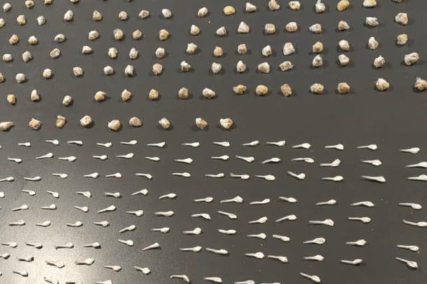 La Policía de la Ciudad cerró un búnker narco en la Villa 31: había cocaína, marihuana y pasta base