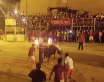 Un toro se mató cuando le prendieron fuego los cuernos