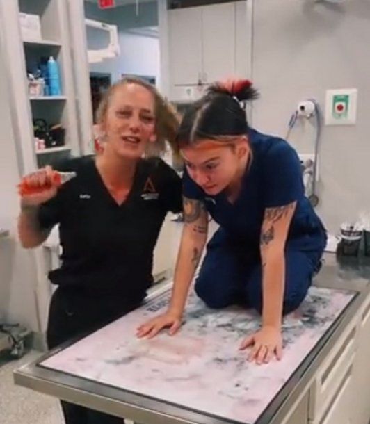 Viral: la divertida imitación de razas de perro que hicieron dos veterinarias