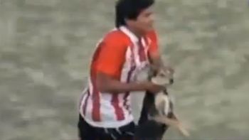 un animal: lo expulsaron por agredir a un perro un animal: lo expulsaron por agredir a un perro