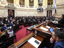 el senado se subira un 12,5% la dieta: cuanto van a cobrar los legisladores en marzo el senado se subira un 12,5% la dieta: cuanto van a cobrar los legisladores en marzo