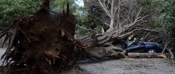 Gentileza RioNegro.com.ar