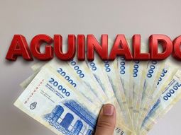 El Gobierno homologó la Ley 27.073 y determinó hasta cuándo se puede cobrar el aguinaldo El Gobierno homologó la Ley 27.073 y determinó hasta cuándo se puede cobrar el aguinaldo