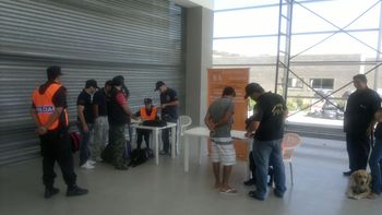 una perra encuentra 500 dosis de lsd en mar del plata una perra encuentra 500 dosis de lsd en mar del plata