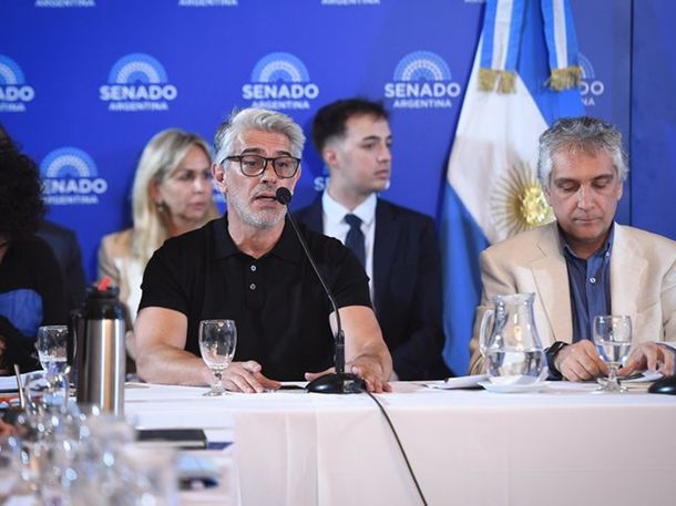 Pablo Echarri cuestionó con dureza la reforma laboral en el Senado: Regresiva y ruinosa