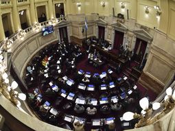 Tras la media sanción de Diputados, el Senado debate hoy la emergencia económica