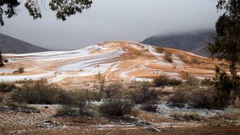 Un paisaje distinto Un paisaje distinto