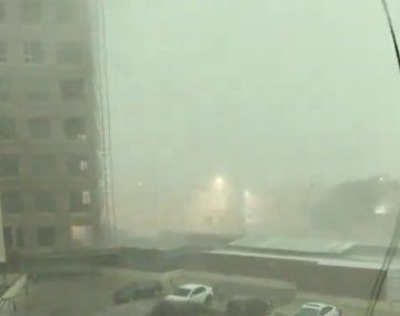 Bahía Blanca: hubo voladuras de techos y caída de árboles tras fuerte temporal