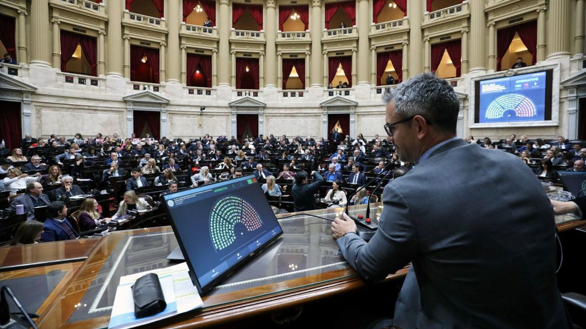 Maratónica sesión en Diputados con foco en los vetos de Javier Milei EN VIVO: minuto a minuto