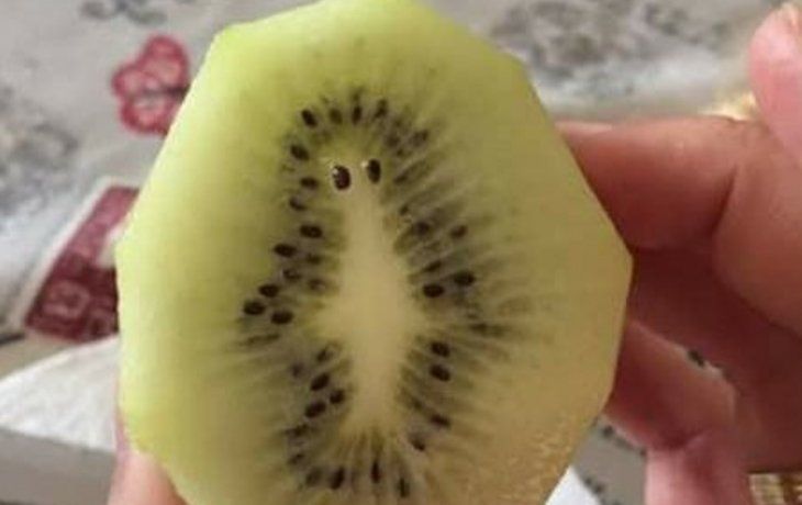 Les traigo amor: un kiwi se hizo viral por su parecido a un personaje de Los Simpson