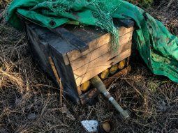 encontraron mas de 20 granadas antitanque activas en monte grande y las hicieron estallar encontraron mas de 20 granadas antitanque activas en monte grande y las hicieron estallar
