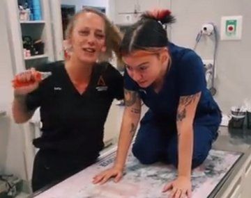 La divertida imitación de razas de perro que hicieron dos veterinarias