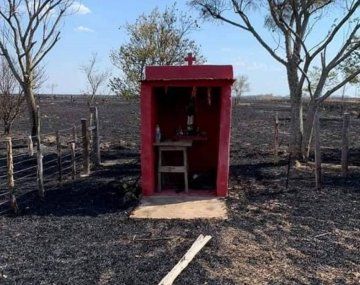 Gentileza: Infinita Goya&nbsp;