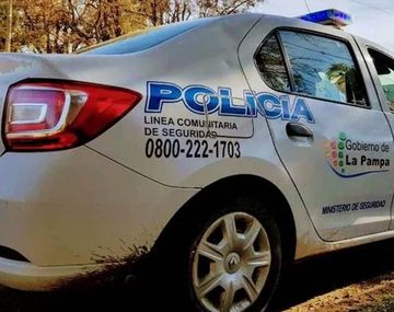 Un hombre embistió varias veces a un perro con su auto hasta matarlo