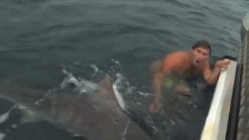 un pescador se salva de un tiburon por los pelos un pescador se salva de un tiburon por los pelos