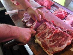Carne