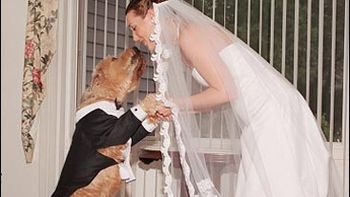 Perro y mujer Perro y mujer