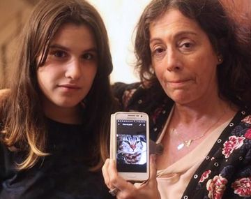 Un gato murió por la picadura de una araña en La Plata. Foto gentileza El Día.