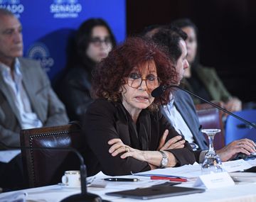 Liliana González, directora nacional de Abordaje Integral de Salud Mental y Consumos Problemáticos